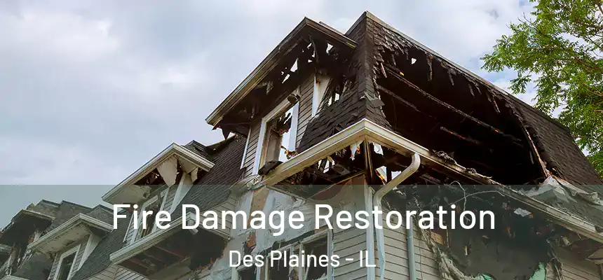 Fire Damage Restoration Des Plaines - IL