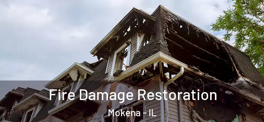 Fire Damage Restoration Mokena - IL