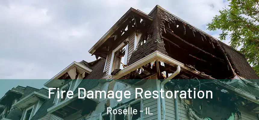 Fire Damage Restoration Roselle - IL