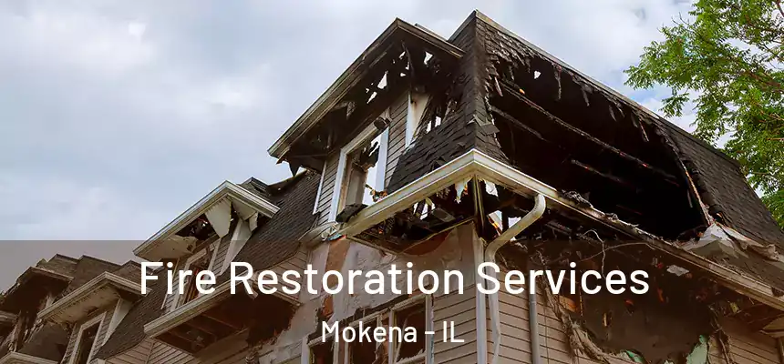  Fire Restoration Services Mokena - IL