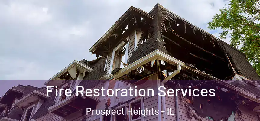  Fire Restoration Services Prospect Heights - IL