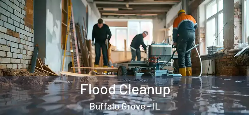  Flood Cleanup Buffalo Grove - IL