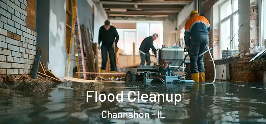  Flood Cleanup Channahon - IL