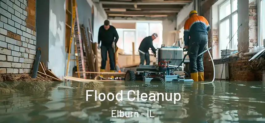  Flood Cleanup Elburn - IL