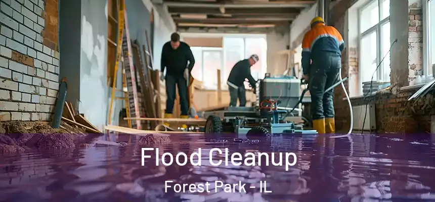  Flood Cleanup Forest Park - IL