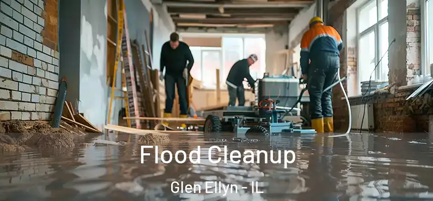  Flood Cleanup Glen Ellyn - IL