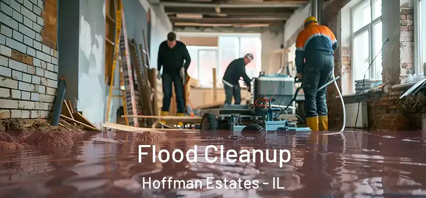  Flood Cleanup Hoffman Estates - IL