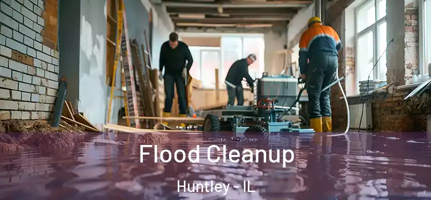  Flood Cleanup Huntley - IL