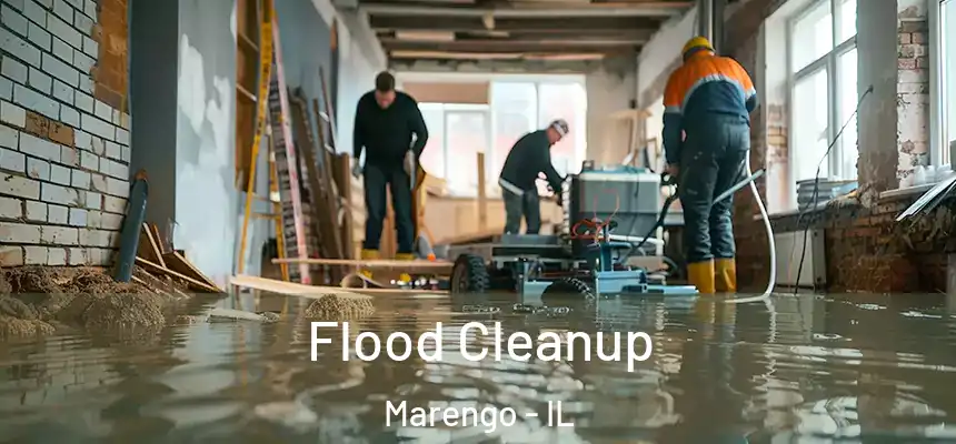 Flood Cleanup Marengo - IL