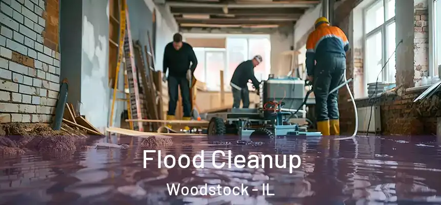 Flood Cleanup Woodstock - IL