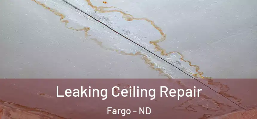  Leaking Ceiling Repair Fargo - ND
