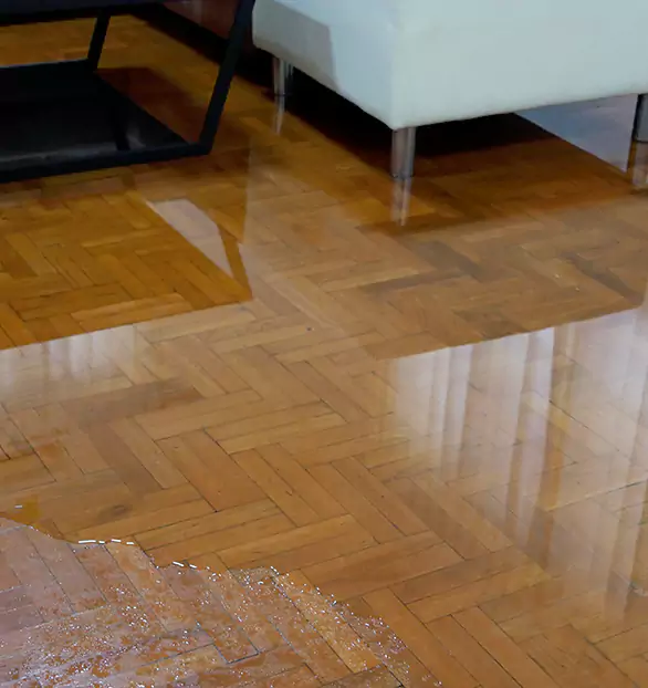 Trusted Emergency Water Restoration Company in Fargo, ND