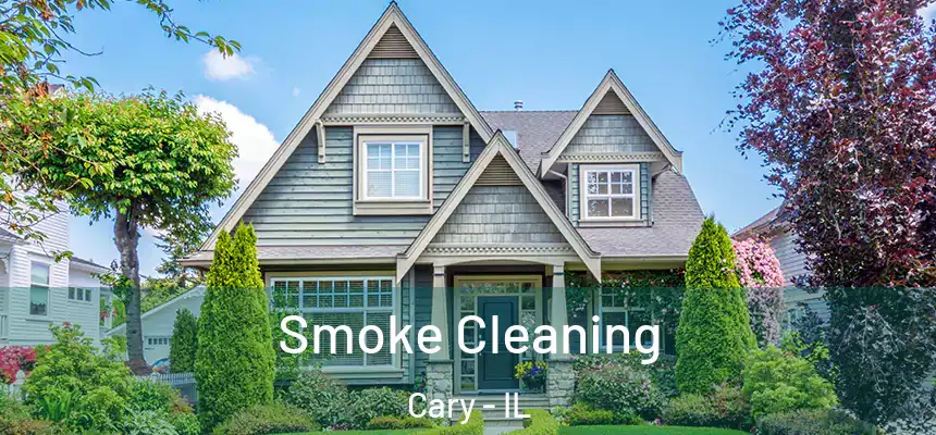 Smoke Cleaning Cary - IL