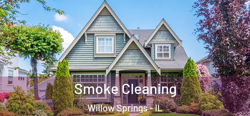 Smoke Cleaning Willow Springs - IL