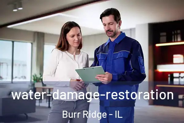 water-damage-restoration Burr Ridge - IL