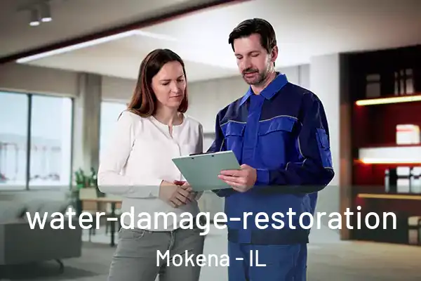  water-damage-restoration Mokena - IL