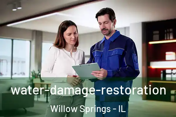  water-damage-restoration Willow Springs - IL